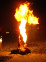 /album/ohnova-show-atraktivni-zpestreni-vaseho-nocniho-programu/a259219-229556463721577-1081133-o-jpg/